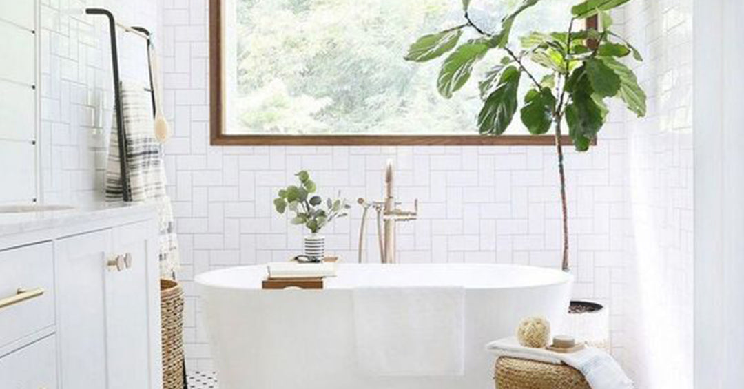 interiors by toilet tree products