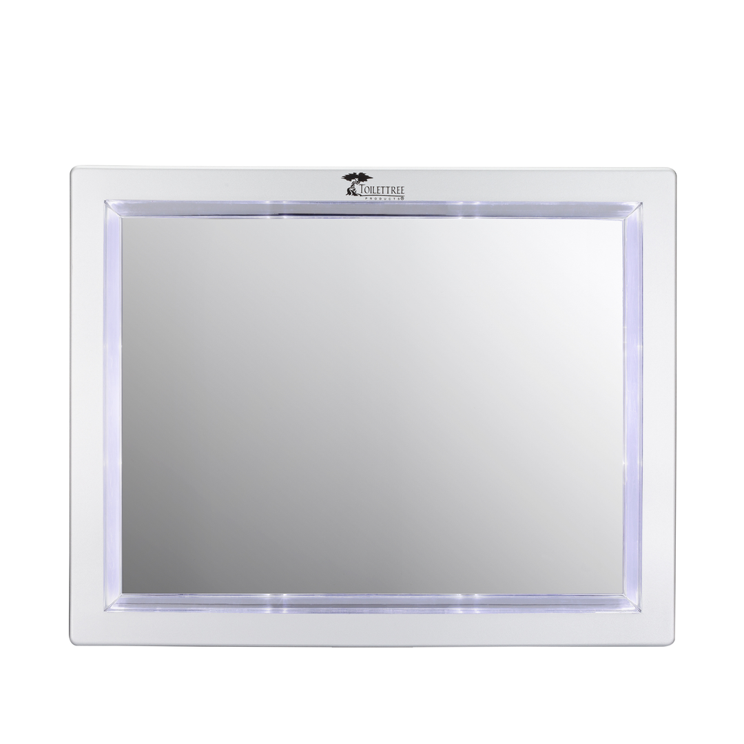Replacement Mirror Only - TTP-LED-01